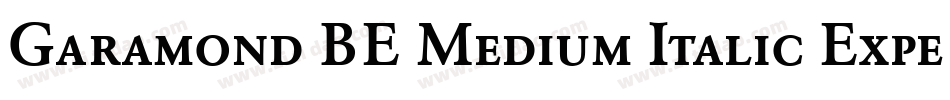 Garamond BE Medium Italic Expert字体转换